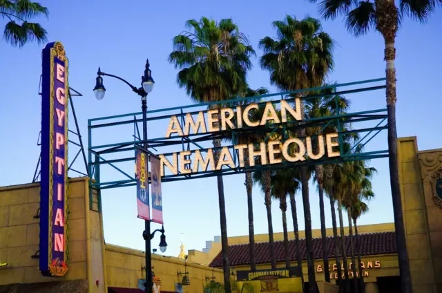 华纳兄弟收购案:一场颠覆好莱坞的争夺战正在发生?