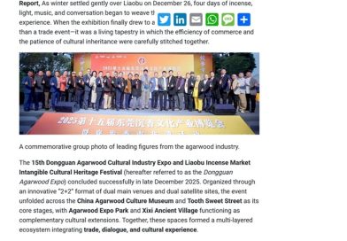 全球近300家英文媒体报道第十五届东莞沉香文化产业博览会